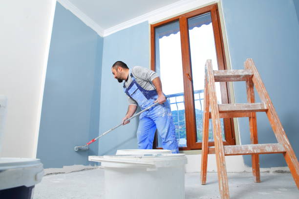 Best Attic Mold Removal  in Morris, IL