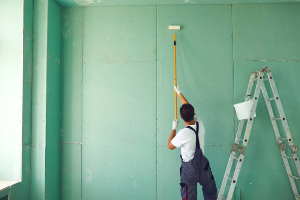 Best Post-Remediation Verification Testing  in Morris, IL