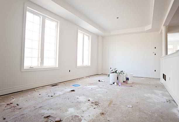 Best Dehumidification Services  in Morris, IL