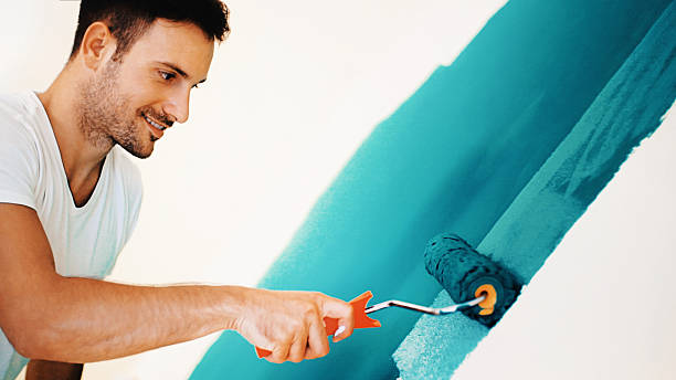 Best Mold Removal for HVAC Installations  in Morris, IL