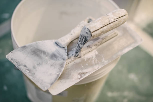 Best HVAC Mold Inspection and Cleaning  in Morris, IL