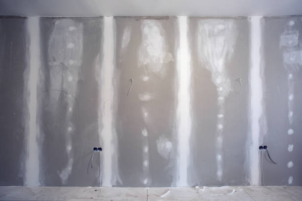 Best Air Quality Testing for Mold Spores  in Morris, IL